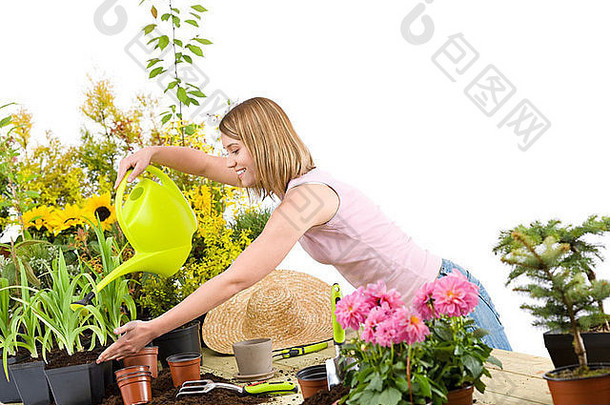 园艺-妇女用水壶在白色背景上浇水种植