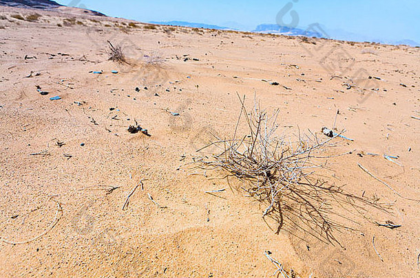 萨克斯奥尔坡沙子沙丘Wadi空间沙漠约旦