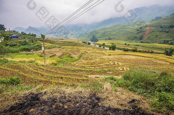越南萨巴山村的<strong>黄米</strong>梯田在收获季节后没有水稻。