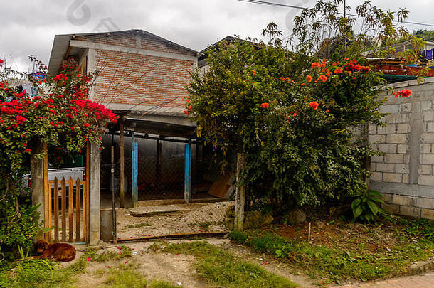 architrecture自然玛雅村庄恰帕斯州状态墨西哥