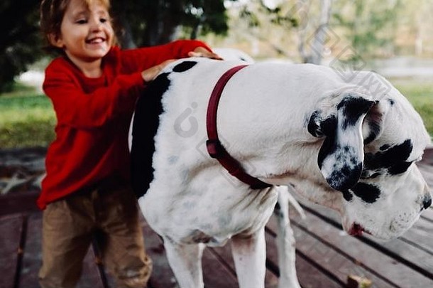 澳大利亚昆士兰州拉斯穆森4815，罗斯河上的布鲁纳步道上，一个年轻女孩抱着一条黑白相间的丹麦大狗，微笑着