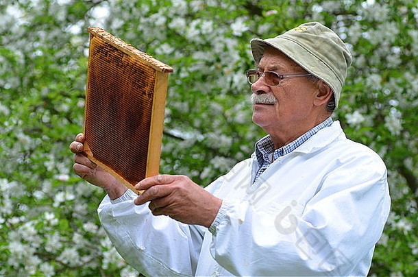 高级养蜂人使检查养蜂场春天
