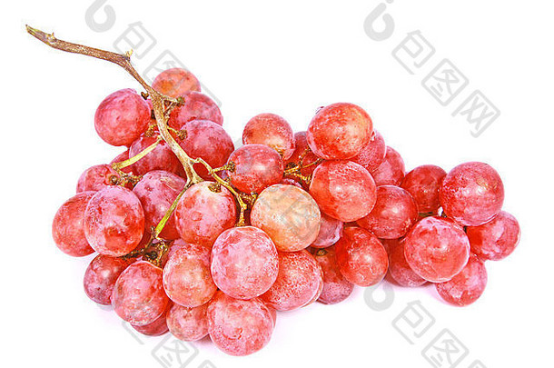 一束红色的新鲜葡萄，白色背景上有水滴
