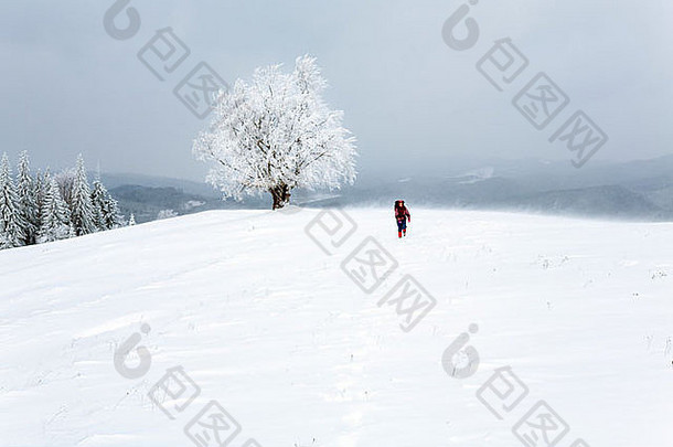 冬季恶劣，白天阴暗，山上有雪树和女游客