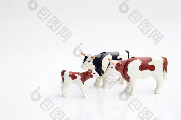 细节玩具塑料牛孤立的白色背景