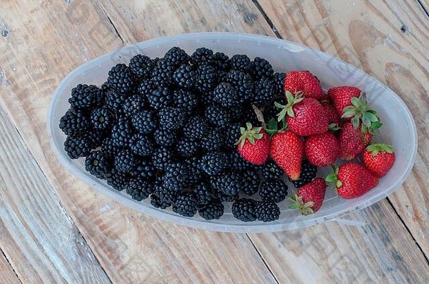 后院的美味甜黑莓和草莓