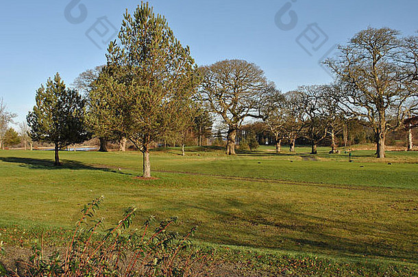 大橡木树高尔夫球威克洛郡爱尔兰