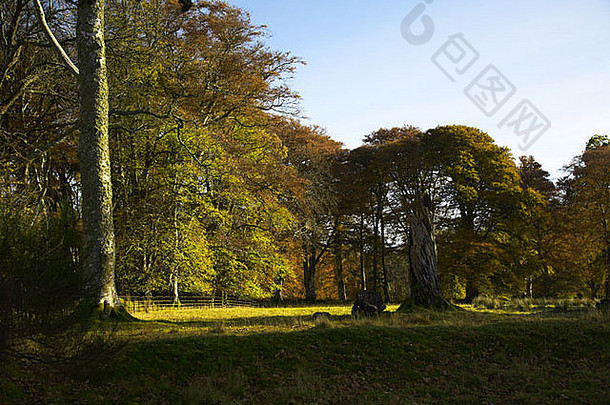 秋天叶颜色斯特拉赫公园斯特拉赫阿盖尔郡苏格兰