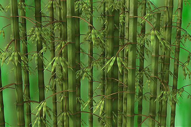 绿色背景下的竹林