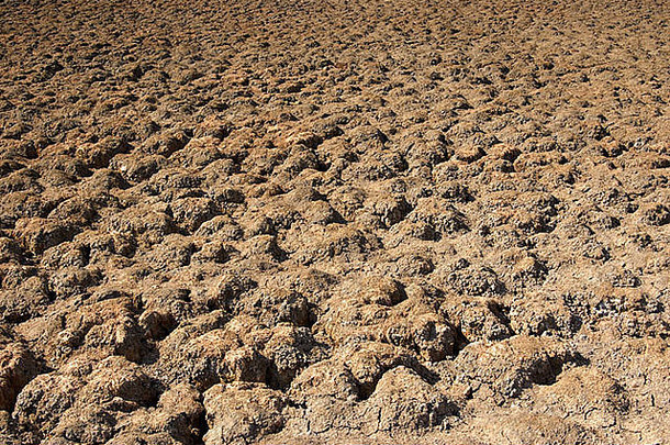 干旱中期的干涸贫瘠的湖床