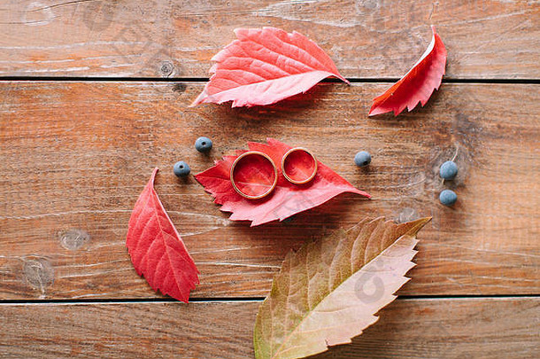 配件、秋季、婚礼设备概念。放在木桌上黑色浆果附近的红色秋叶上的新婚夫妇用的两个不同大小的戒指的俯视图