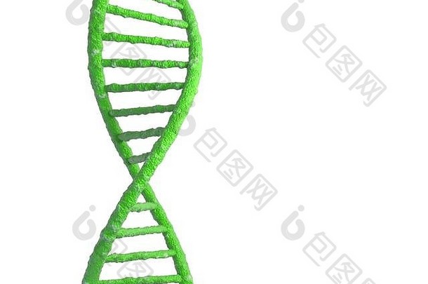 白色分离的<strong>DNA</strong>分子结构。三维插图
