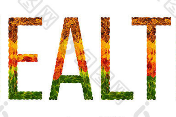 “健康”一词用树叶书写，背景为白色，横幅用于印刷，彩色树叶的创意插图。