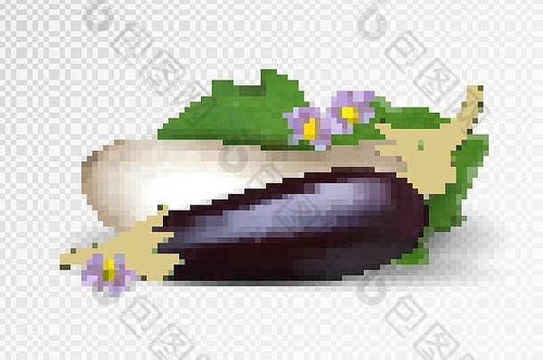 一套紫色和白色的蔬菜。紫色和白色的茄子在透明的背景下分离。