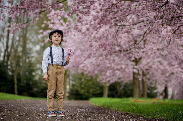 美丽的学龄前男孩，站在樱花园里，捧着鲜花，穿着复古的服装，开心地微笑，春天的童年快乐