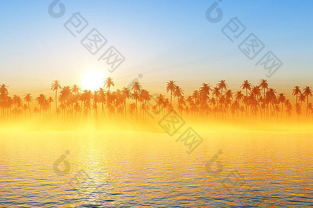 椰树上的阳光和金色的雾