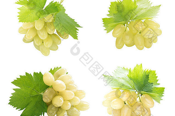 健康的有机食物集新鲜的绿色葡萄