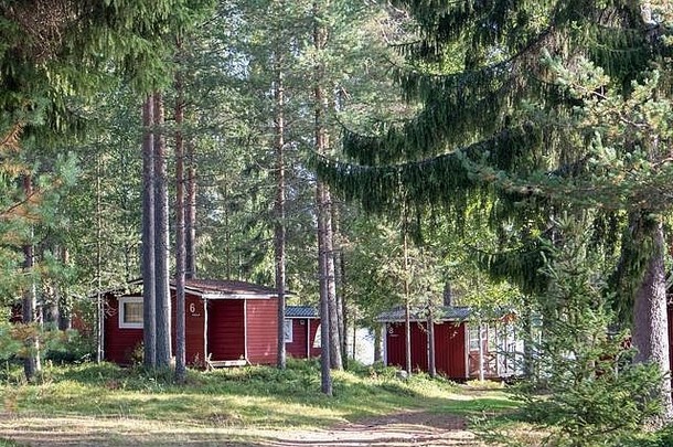 红色的木芬兰传统的小屋别墅绿色松森林河农村体系结构北部欧洲木房子野营太阳
