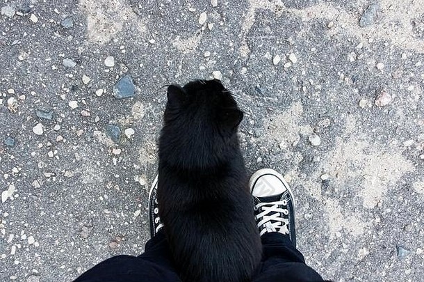 黑猫站在人行道上一个人的脚边