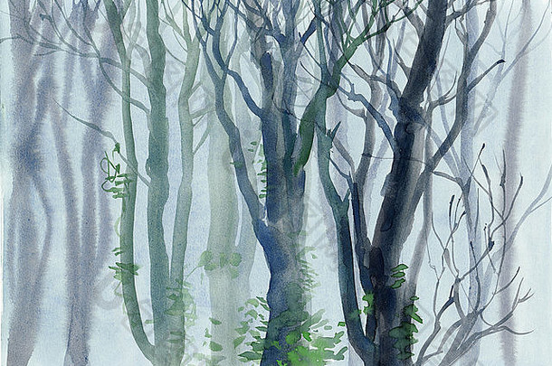 雾蒙蒙的森林，光秃秃的树木，常春藤和空气透视图。原创水彩画。