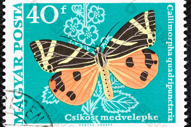 红阿里杰邮票，纸上印有一只美丽<strong>的蝴蝶的照片</strong>