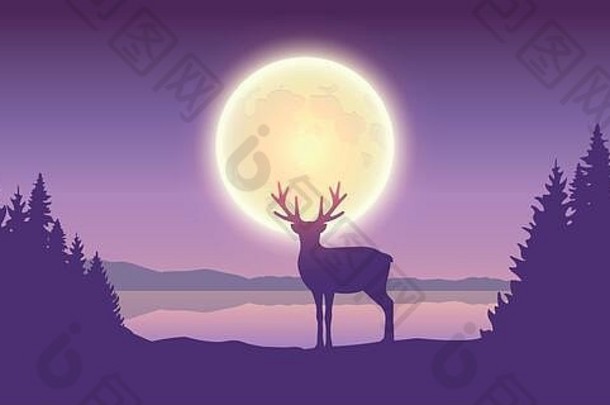 月圆时湖边森林里孤独的驯鹿