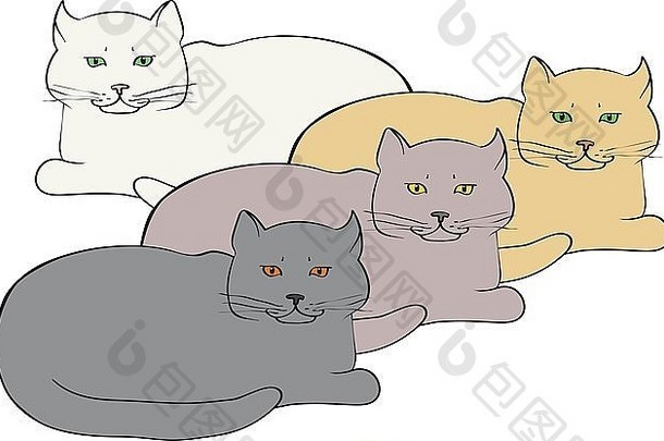 四种不同颜色的英国猫