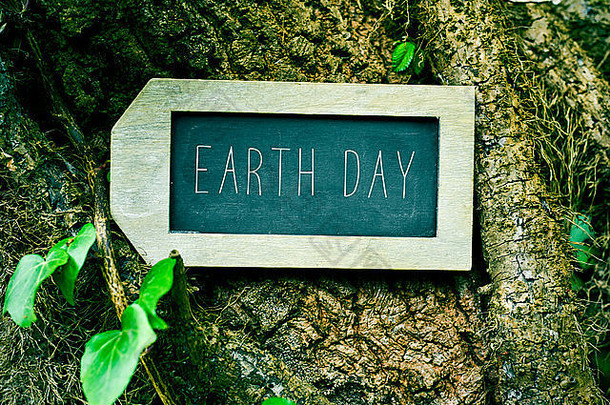 在树干上贴上标签形状的黑板，上面写着“地球日”