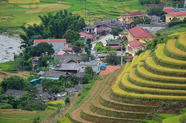 空中视图越南景观黄色的大米场村农村越南皇室高质量的免费的照片图像镜头黄色的大米
