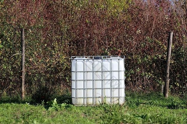 白色新中型散装容器或IBC塑料罐，带金属笼，用于储水，放<strong>在家</strong>庭住<strong>宅</strong>后院花园中，靠近两个