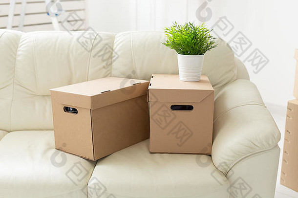 盒子的事情花能站沙发上移动居民公寓概念首页购买
