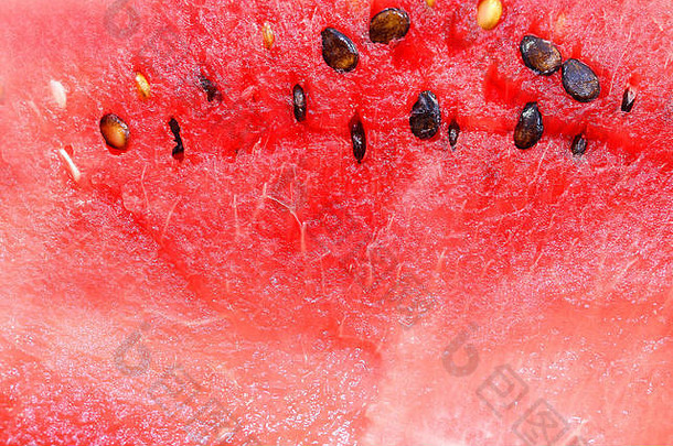 照片背景大红色的成熟的西瓜
