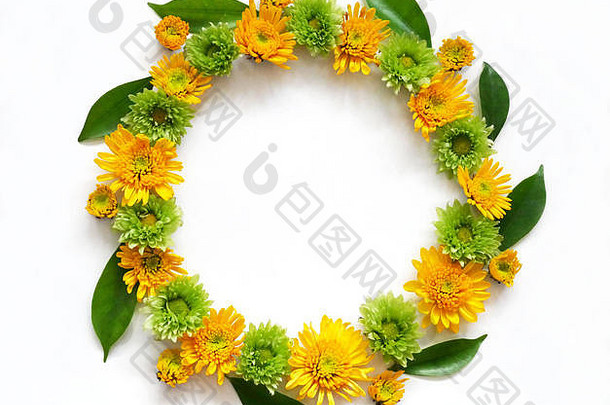 花朵组合圆形框架花环，由各种黄色和绿色的花朵在白色背景上制成。平面布置，俯视图