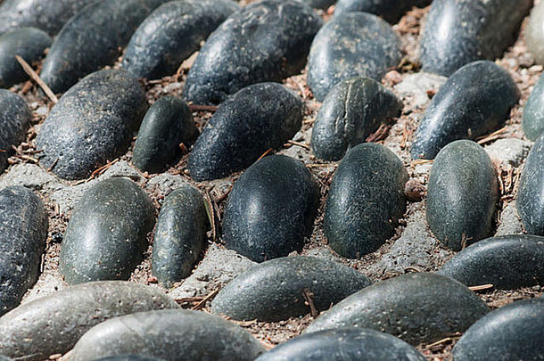 日本花园的岩石小径。