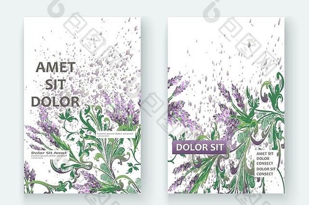 薰衣草花卉图案封面设计。手绘创意花。优雅时尚的艺术背景，绽放绿色的枝叶。图解我们