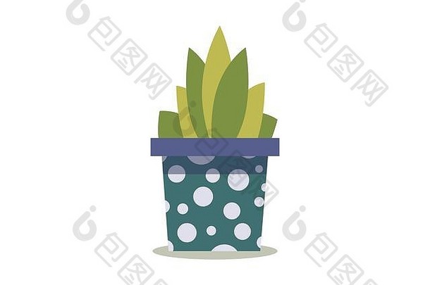 绿色室内植物在一个有圆点图案的花盆里。隔离在白色背景上。以平淡的风格。家里的有机装饰。