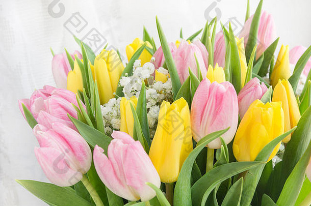 美丽的春天花束，黄色和粉色郁金香，白色背景，空间，表达你的春天愿望。空间。