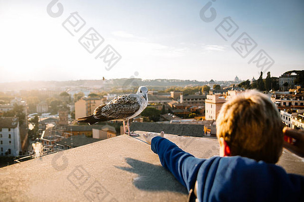 男孩把手伸向鸟的特写镜头。一种白色的大海鸥，其上有羽绒和手掌伸向鸟。在罗城历史<strong>地段</strong>拍摄的照片