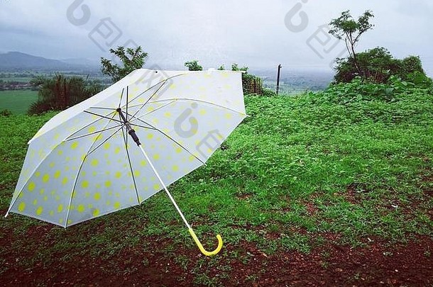 在果阿的某个地方，一把印着黄案的雨伞在新鲜的绿草上咔嗒咔嗒作响