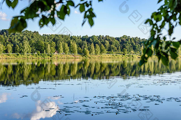 以森林和树木为背景和地平线的湖泊中的云反射