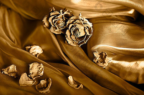 古董背景干玫瑰缎黄金彩色的图像浅深度场