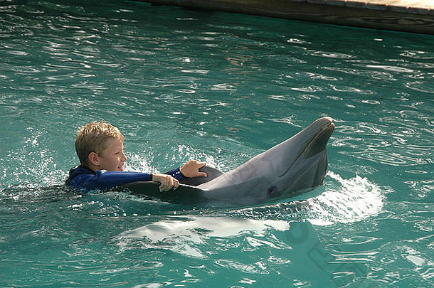 男孩和海豚。