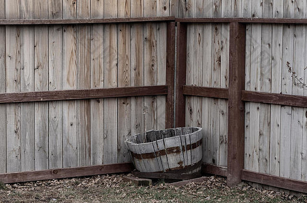 在一个乡村<strong>红木</strong>栅栏<strong>边</strong>的角落里，一个木制酒桶被改造成了一个花盆。