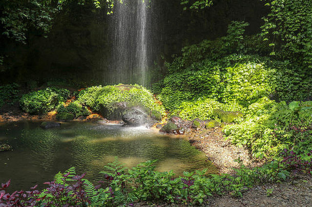 在巴厘岛，一种叫做瀑布的水从一个小窗台上流过，流入一个池塘。清凉隐秘瀑布的美景