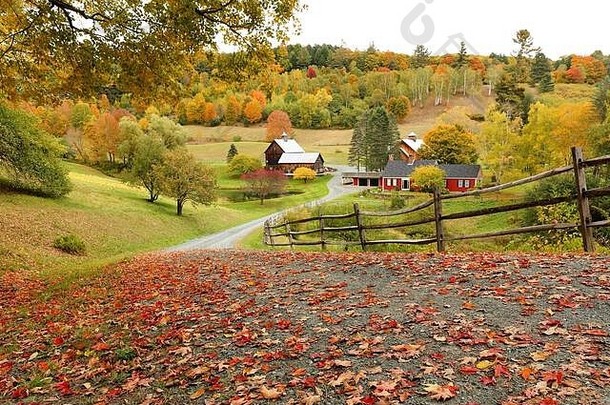 俯瞰和平英格兰农场秋天伍德斯托克佛蒙特州美国