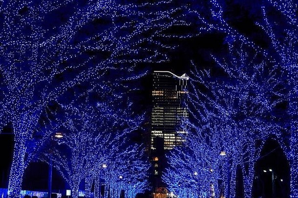 许多树在圣诞节期间用蓝色的灯光装饰