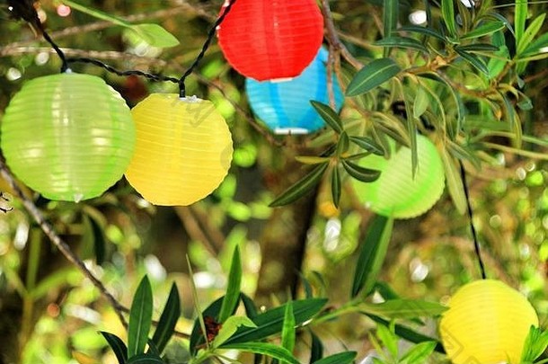 彩色的轮灯笼挂树花园