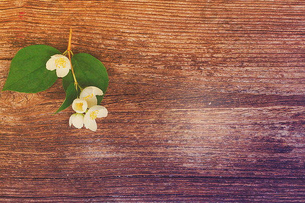 木桌上的茉莉花