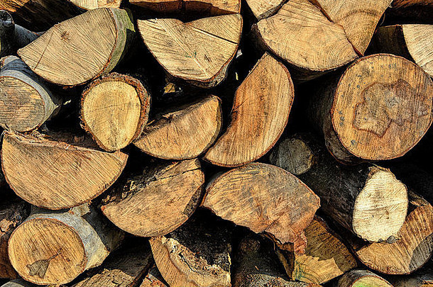 木材在仓库，切割原木，准备出售。