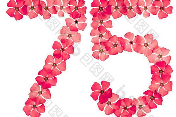 数字75，75，取自长春花的天然红花，在白色背景上分离